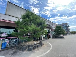 먹보한우 광주점