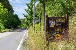 비암사 도깨비도로