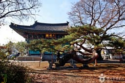 충주 단호사 삼층석탑