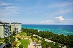 라카이 샌드파인