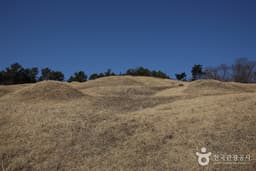 익산 입점리 고분