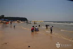서해안 해수욕장을 따라 여행하다