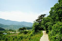 [지리산둘레길] 산동-주천