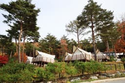 아리힐스 글램핑