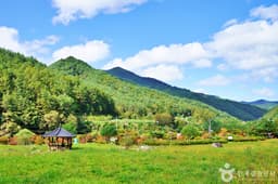 일월산 자생화공원