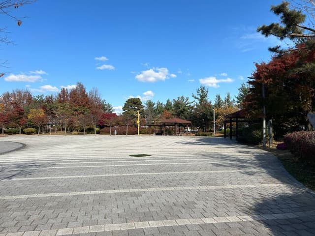 Image 12