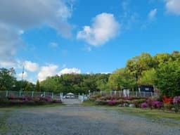 피플앤독힐링캠프