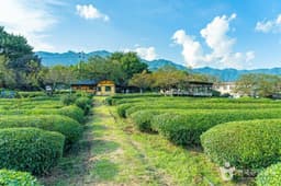 경남 하동 악양면 [슬로시티]