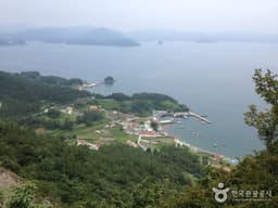 사량도 바다낚시