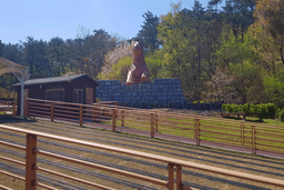 쇠평어린이공원