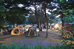 영월키즈캠핑장