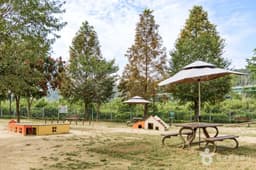 기흥레스피아호수공원 반려동물놀이터