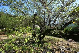 산청군의 문화유적지 답사 2