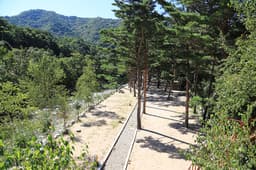 샘골솔밭야영장