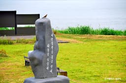 금강하구 철새도래지 (서천)