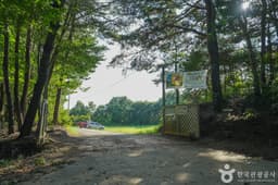 해바라기올래정원