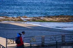 [해파랑길] 37코스(바우길 7구간)