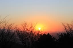 타조와 동식물을 모두 체험할 수 있는 코스