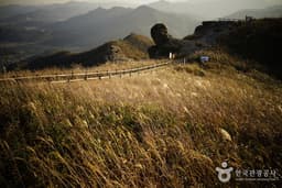 칼바람 잊게 하는 힐링 천국