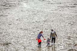 모항어촌체험마을