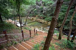 청계동솔바람야영장