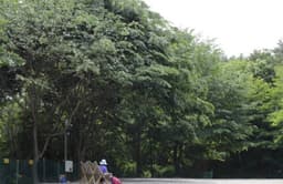 영덕칠보산오토캠핑장