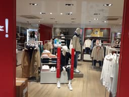 라코스테라이브