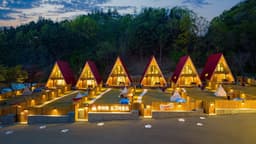 무아레 도그라운드