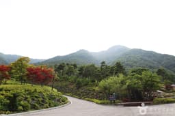 동의보감촌한방자연휴양림