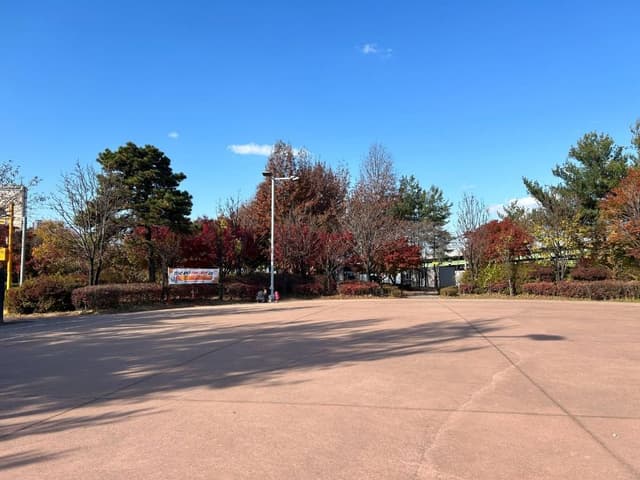 Image 13