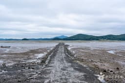 중리어촌체험마을