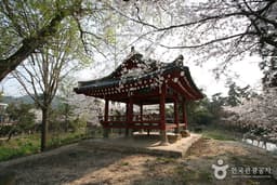 광주 서구 8경 중 4경을 찾아 떠나는 여행