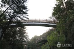 [북악하늘길 3산책로] 북카페~숲속다리