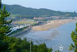 진도 신비의 바닷길을 따라 모세의 기적을 체험하다