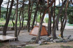 울산시 힐링캠프