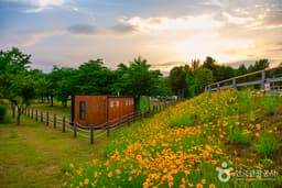 하중도수변생태공원