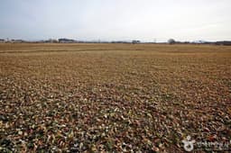 금강3공구야생초화원