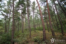 도심 속 지친 사람들의 여유 충전 코스 [웰촌]