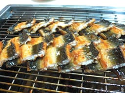 남서울민물장어