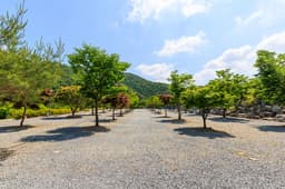 별바라기캠핑펜션