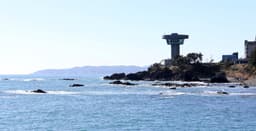 양남 주상절리군 (경북 동해안 국가지질공원)