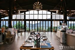 올라알파카카페