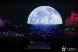 아르떼뮤지엄 강릉