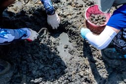 선감어촌체험마을