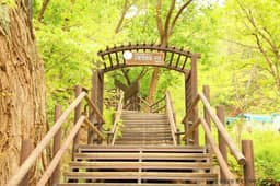 [북한산 둘레길 8구간]  구름정원길