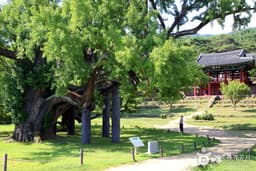 도동서원 [유네스코 세계유산]