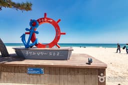 [해파랑길] 41코스