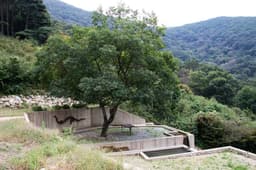 무등산 바우정원