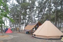 몽산포그린캠핑장