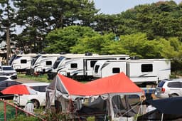 홀리데이캠핑파크 대부도점